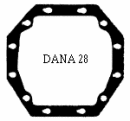 DANA 28